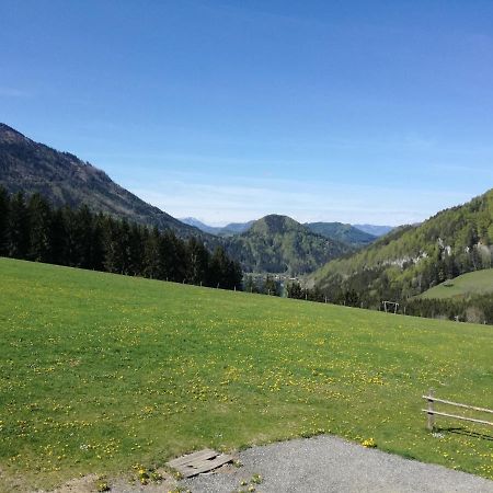 Willa Bio Bauernhof Moas Lunz am See Zewnętrze zdjęcie
