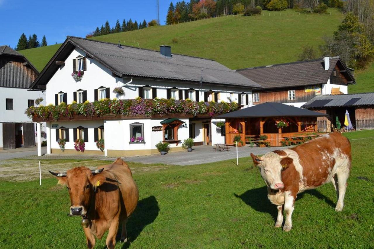 Willa Bio Bauernhof Moas Lunz am See Zewnętrze zdjęcie