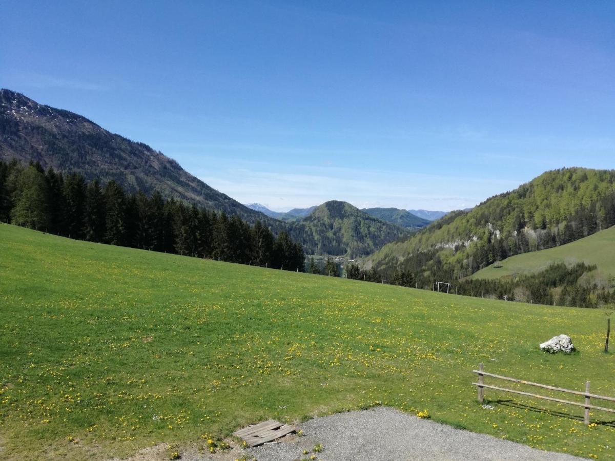 Willa Bio Bauernhof Moas Lunz am See Zewnętrze zdjęcie