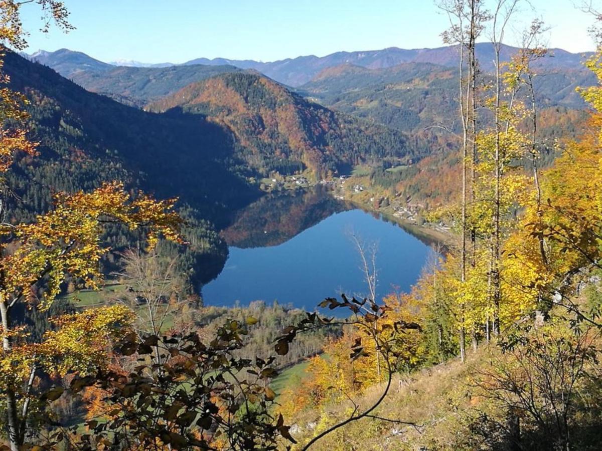 Willa Bio Bauernhof Moas Lunz am See Zewnętrze zdjęcie